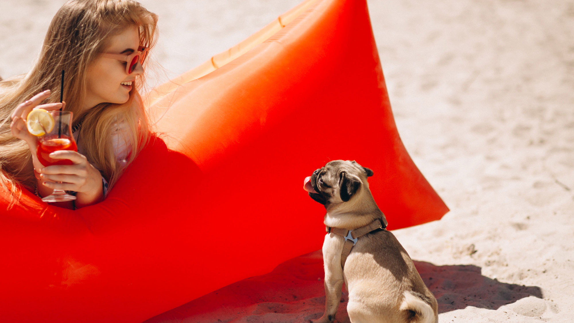 Dog Beach a Bellaria Igea Marina: la spiaggia per cani di Afrika Beach